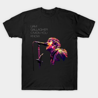 Liam Gallagher Knebworth 22 T-Shirt